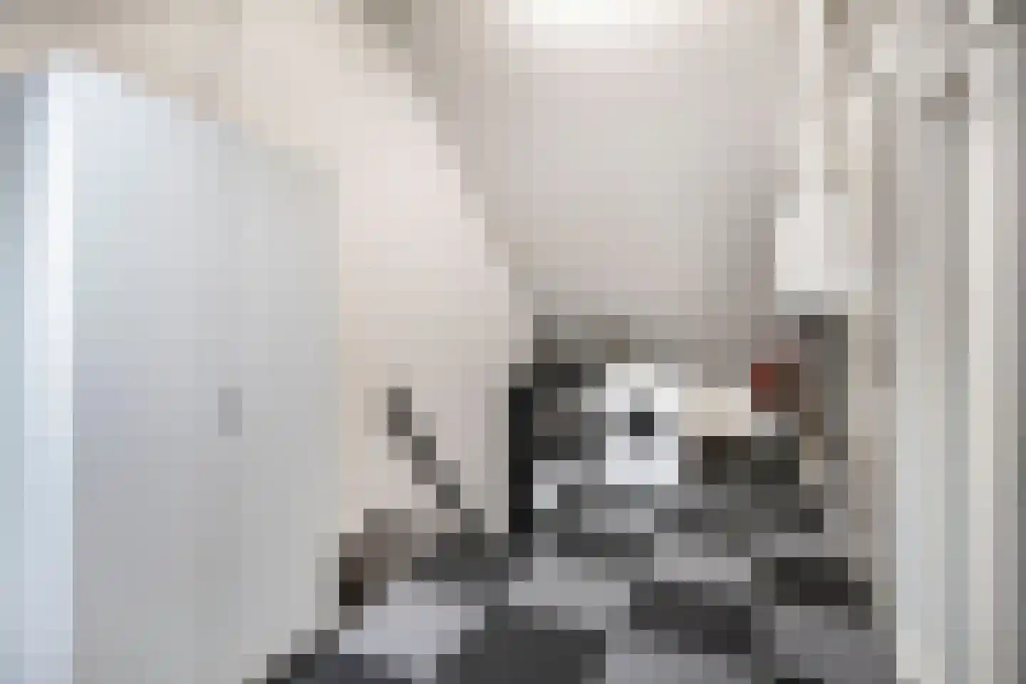 Stadhouderslaan 20 Veenendaal thumbnail 36