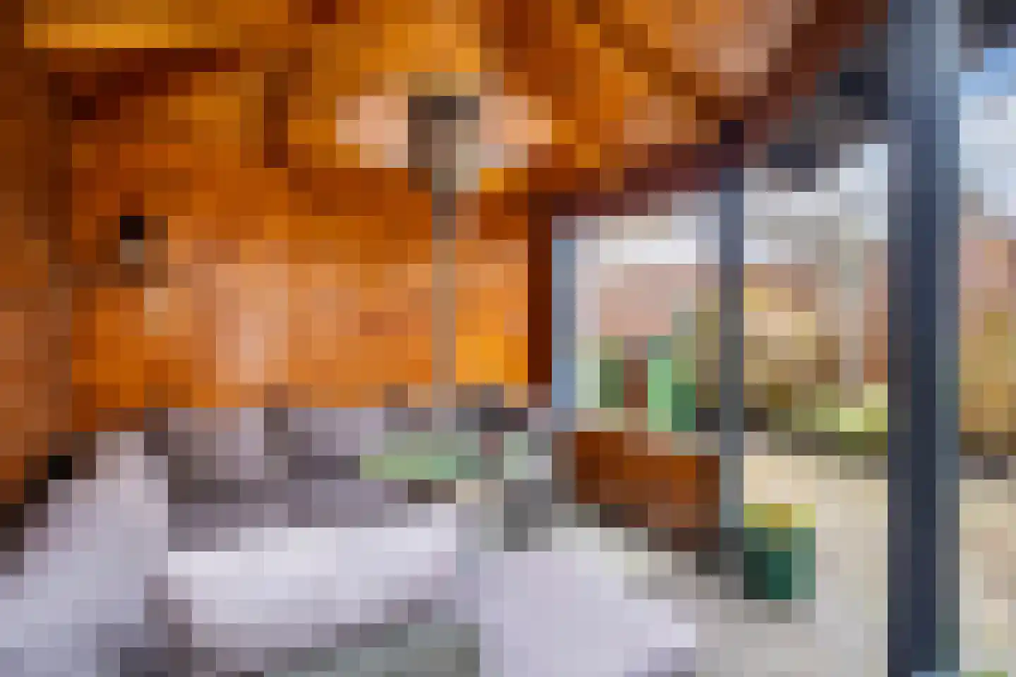 Stadhouderslaan 20 Veenendaal thumbnail 43