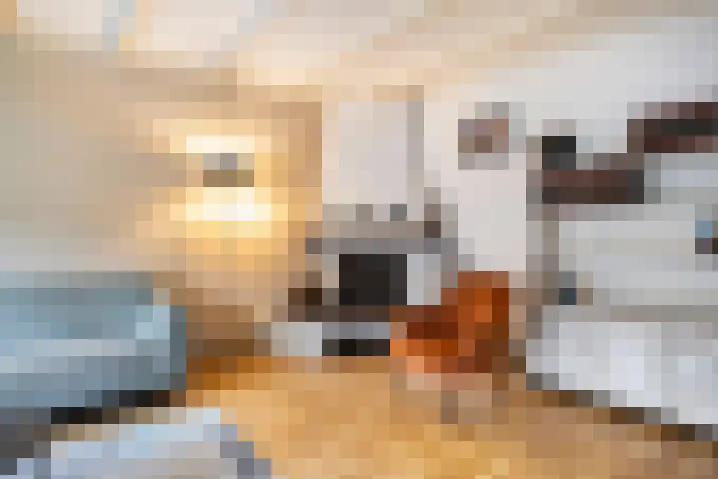 Stadhouderslaan 20 Veenendaal thumbnail 8