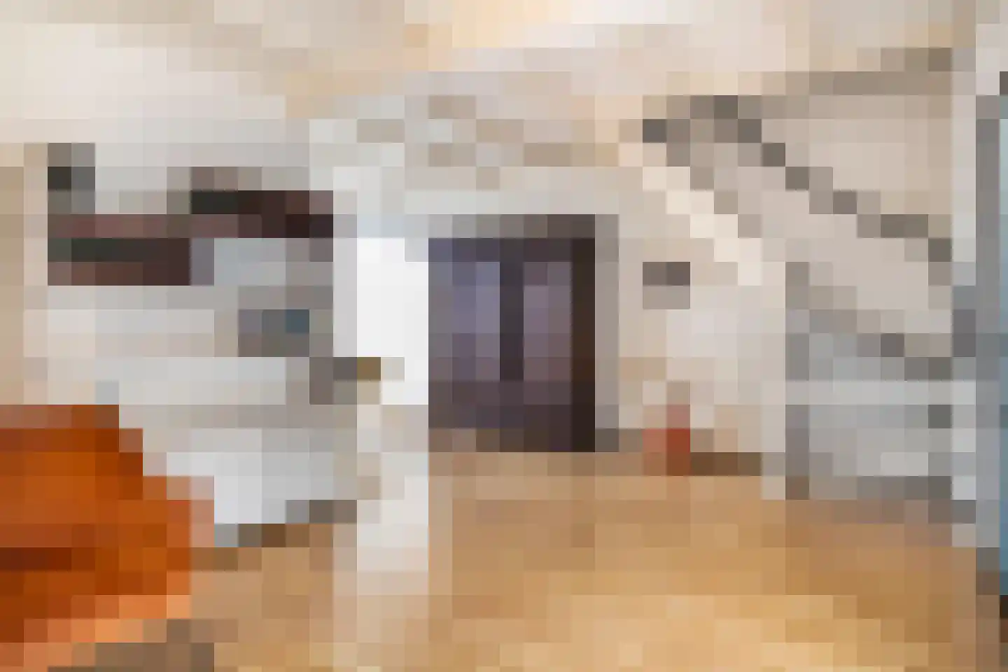 Stadhouderslaan 20 Veenendaal thumbnail 9