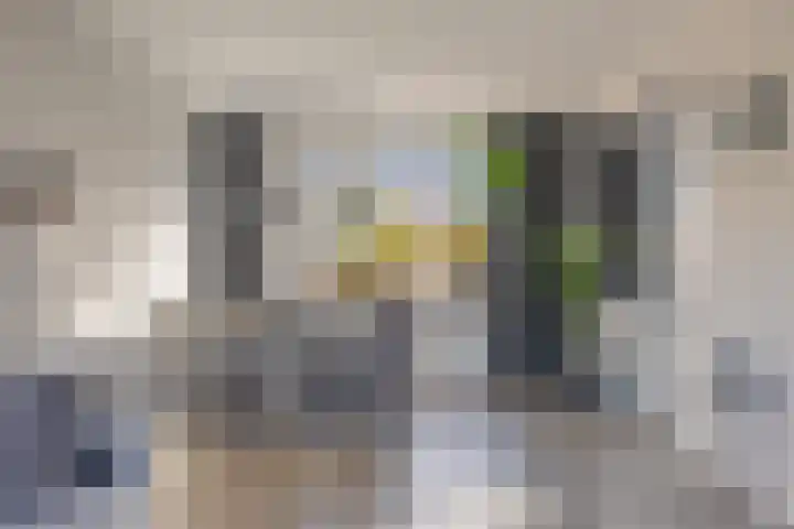Stadhouderslaan 21 Middelburg thumbnail 11