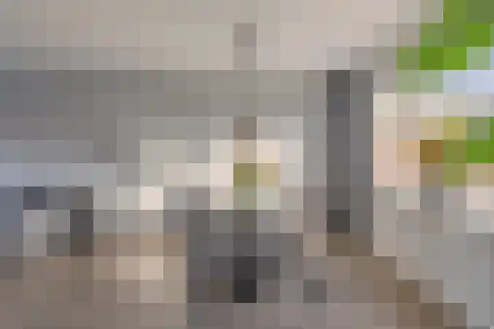 Stadhouderslaan 21 Middelburg thumbnail 12