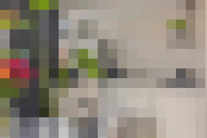 Stadhouderslaan 21 Middelburg thumbnail 13