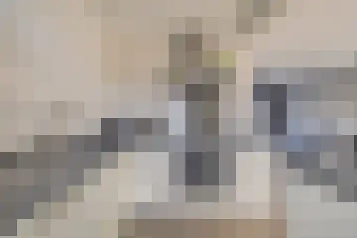 Stadhouderslaan 21 Middelburg thumbnail 15