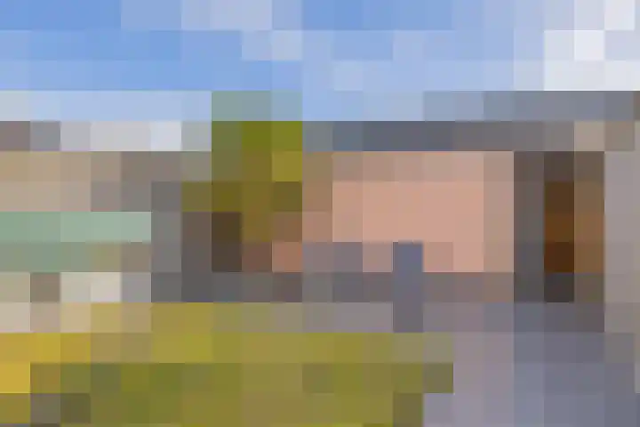 Stadhouderslaan 21 Middelburg thumbnail 19