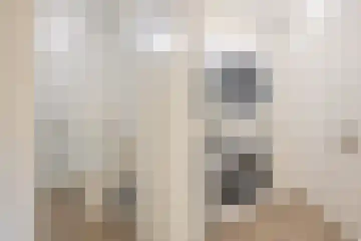 Stadhouderslaan 21 Middelburg thumbnail 38