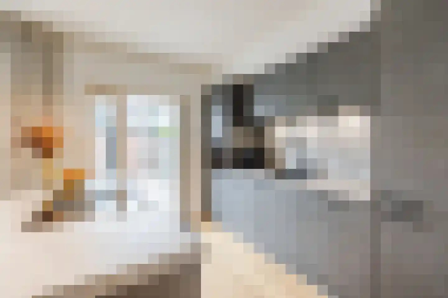 Stadhouderslaan 25 Montfoort thumbnail 13