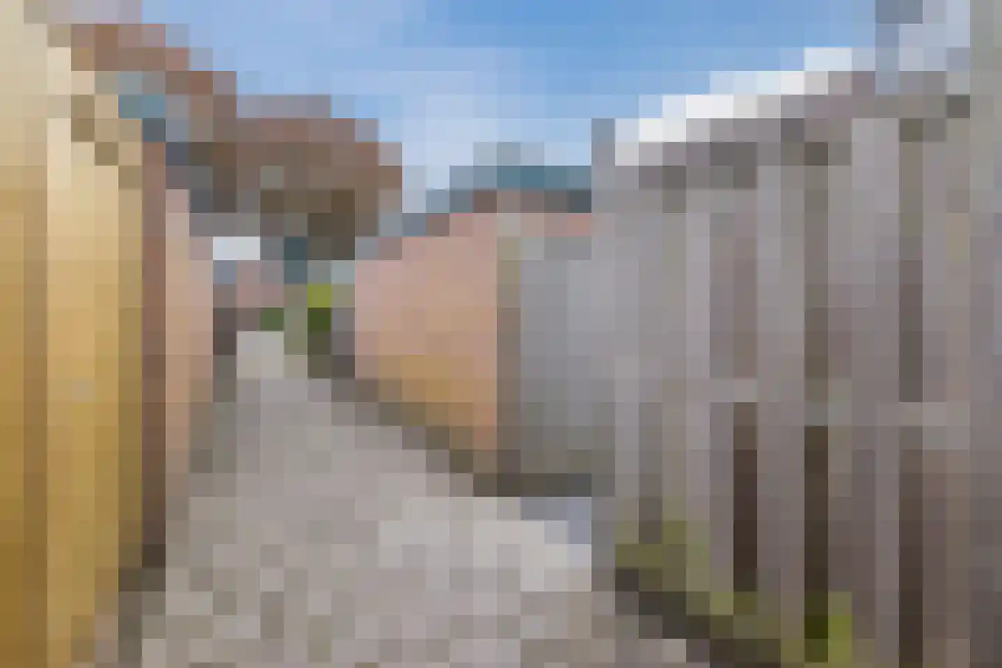 Stadhouderslaan 25 Montfoort thumbnail 28