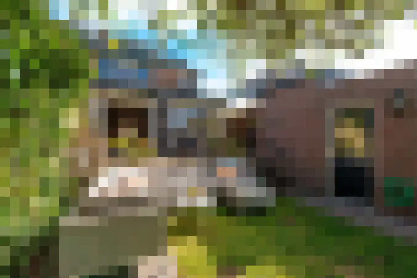 Stadhouderslaan 27 Soest thumbnail 19