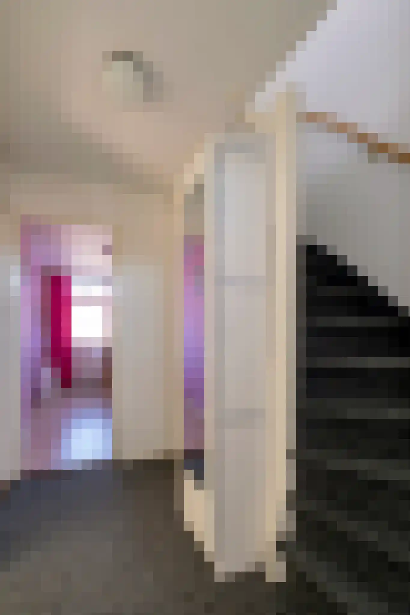 Stadhouderslaan 28 Assen thumbnail 31