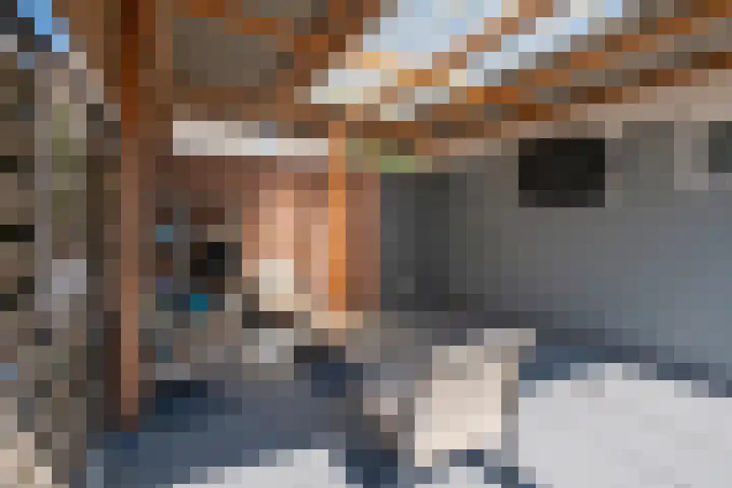 Stadhouderslaan 28 Assen thumbnail 44