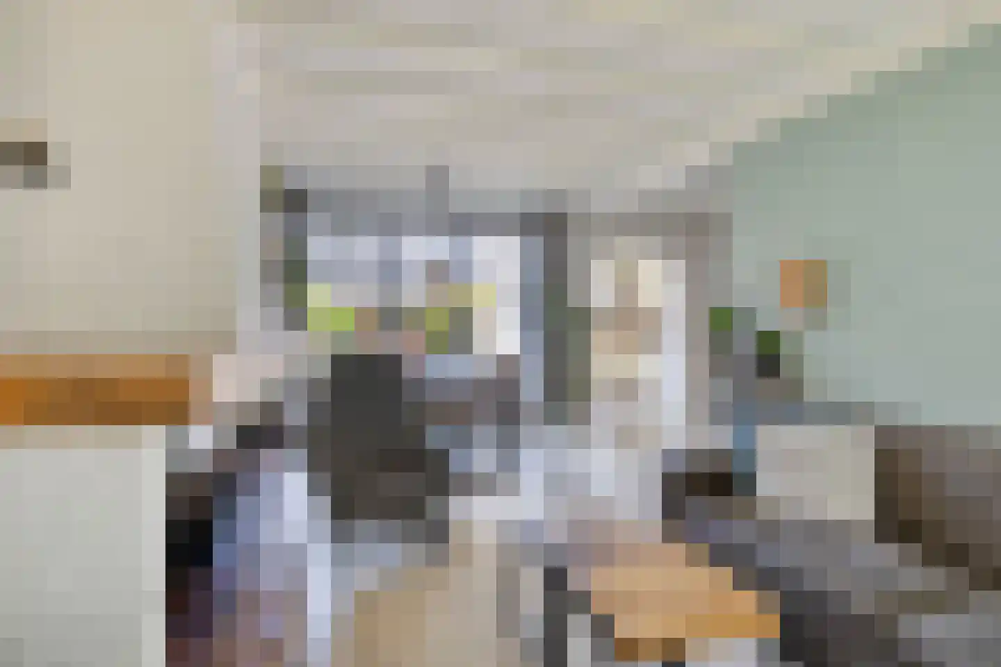 Stadhouderslaan 28 Grave thumbnail 10