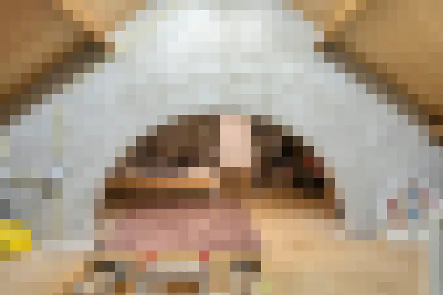 Stadhouderslaan 28 Grave thumbnail 31