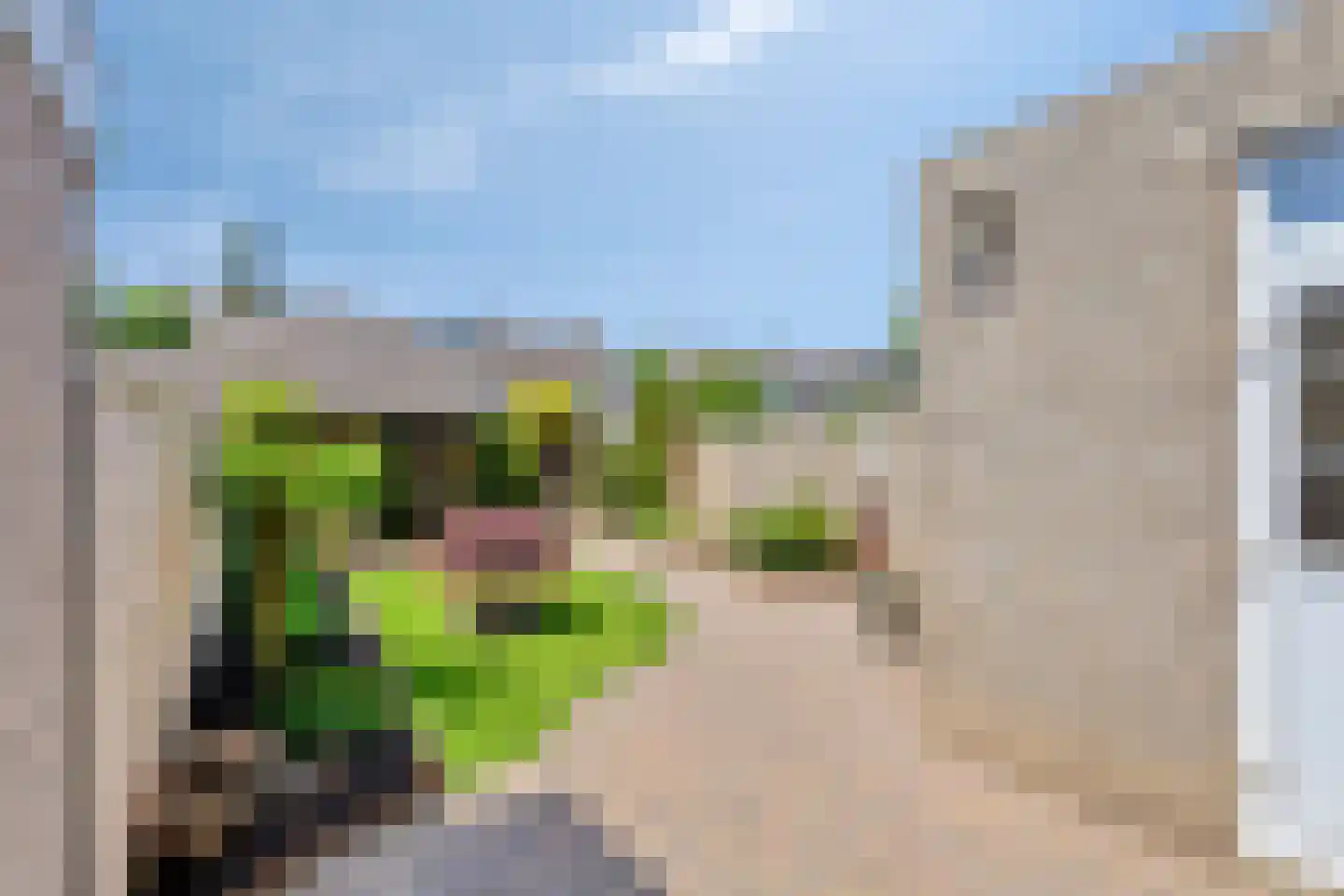 Stadhouderslaan 28 Grave thumbnail 33