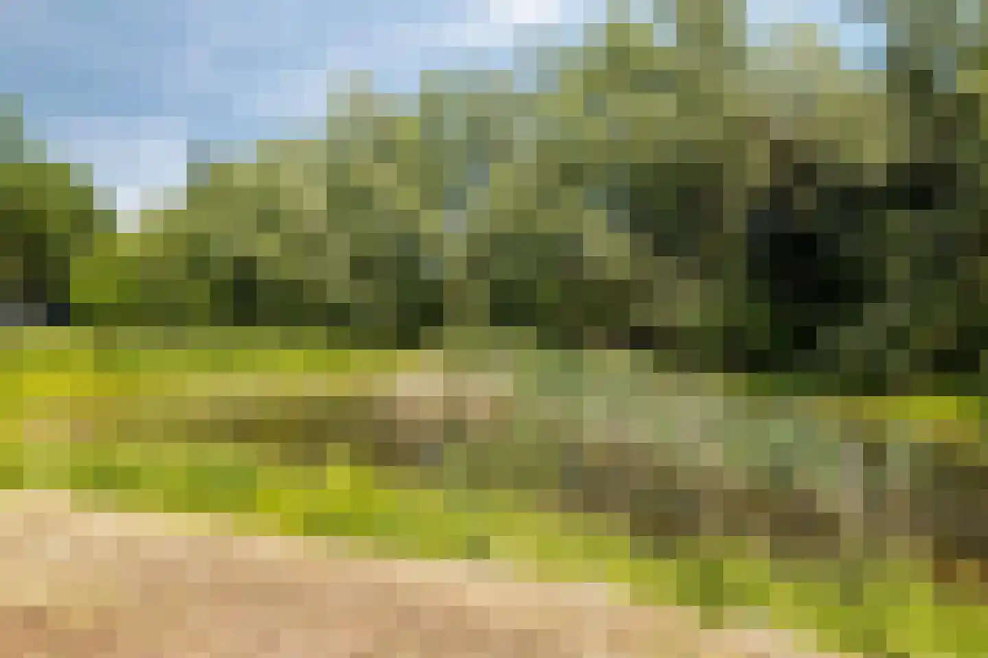 Stadhouderslaan 28 Grave thumbnail 43