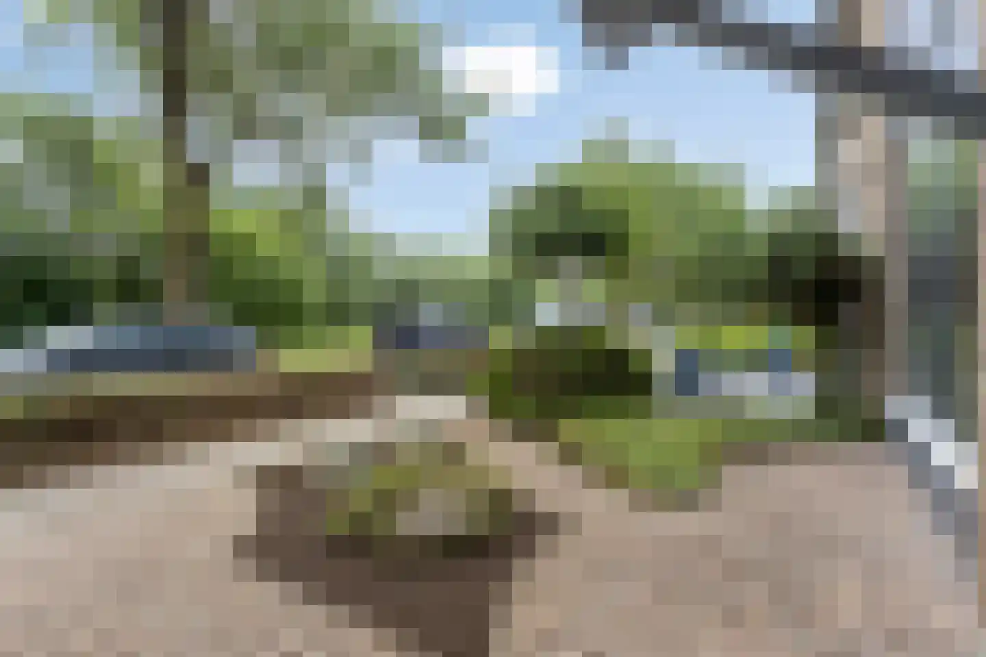 Stadhouderslaan 28 Grave thumbnail 6