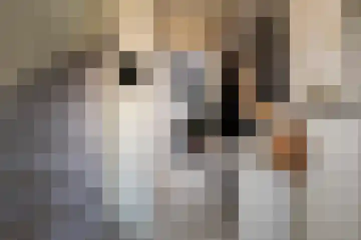 Stadhouderslaan 29 Assen thumbnail 4