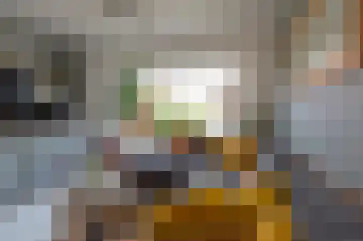 Stadhouderslaan 29 Assen thumbnail 8