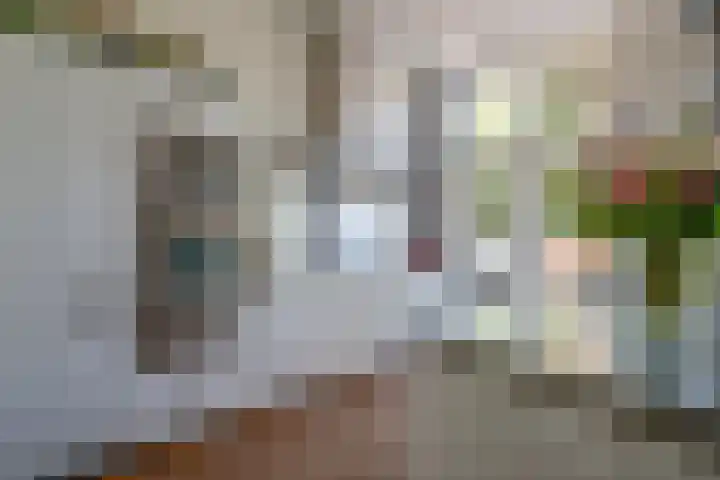 Stadhouderslaan 29 Utrecht thumbnail 16
