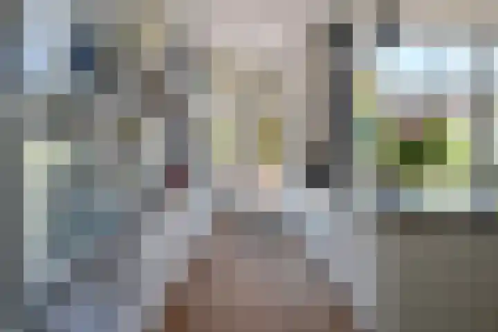 Stadhouderslaan 29 Utrecht thumbnail 17