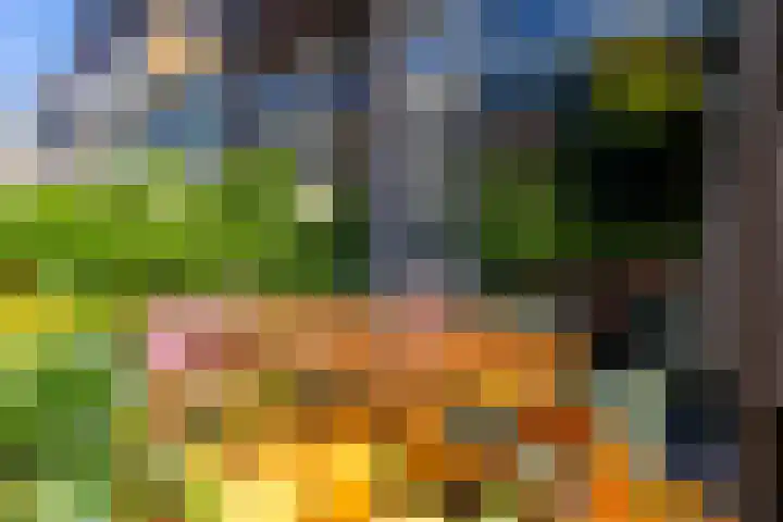 Stadhouderslaan 29 Utrecht thumbnail 21