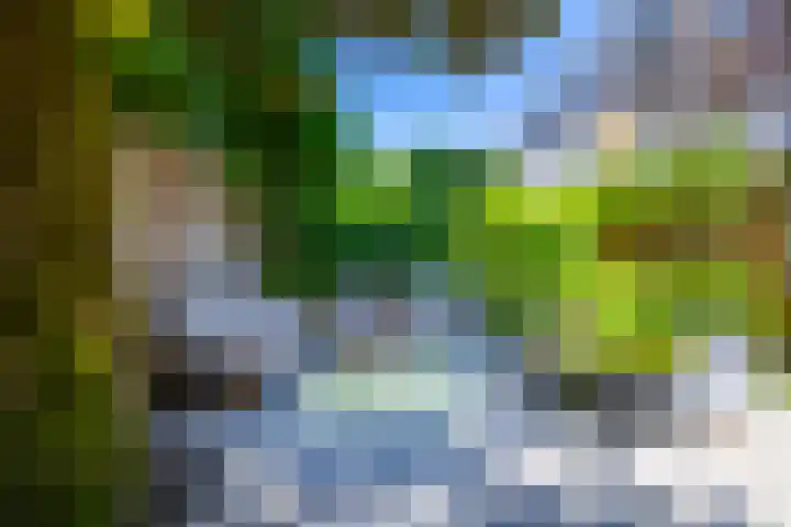 Stadhouderslaan 29 Utrecht thumbnail 22