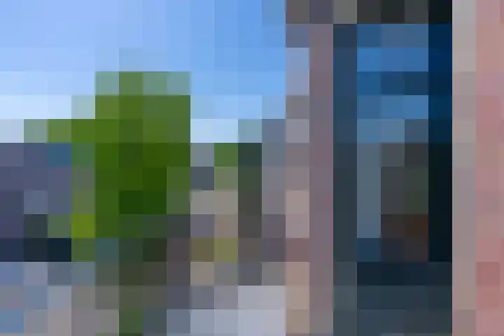 Stadhouderslaan 29 Utrecht thumbnail 37