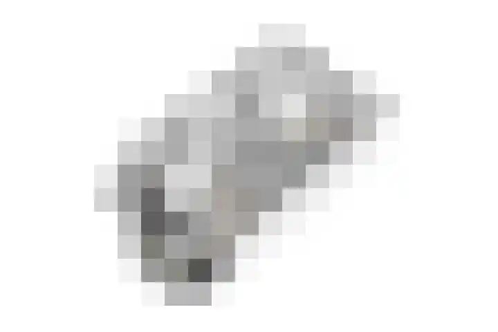 Stadhouderslaan 29 Utrecht thumbnail 50