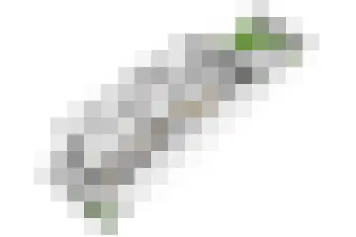Stadhouderslaan 29 Utrecht thumbnail 56