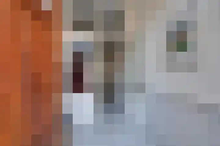 Stadhouderslaan 29 Utrecht thumbnail 6