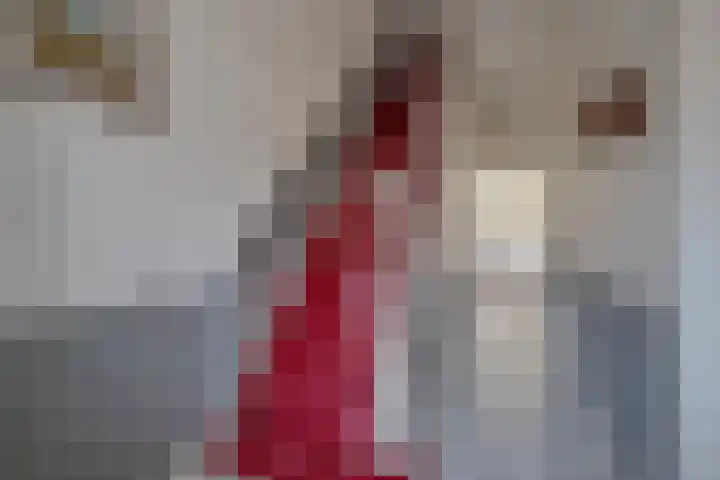 Stadhouderslaan 29 Utrecht thumbnail 7