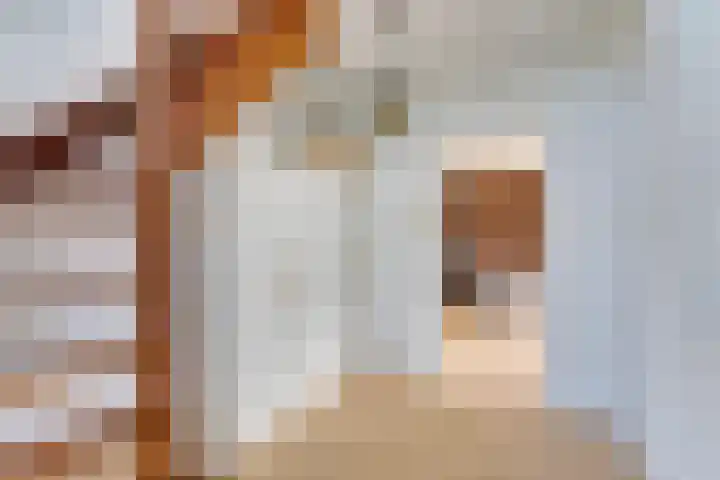 Stadhouderslaan 3 Soest thumbnail 5