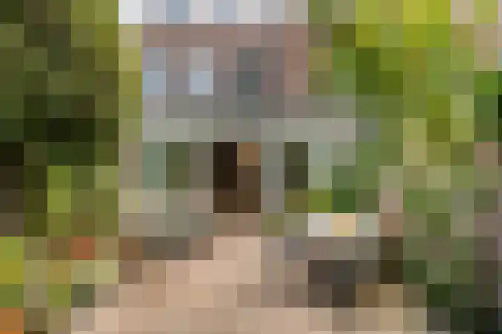 Stadhouderslaan 3 Utrecht thumbnail 12