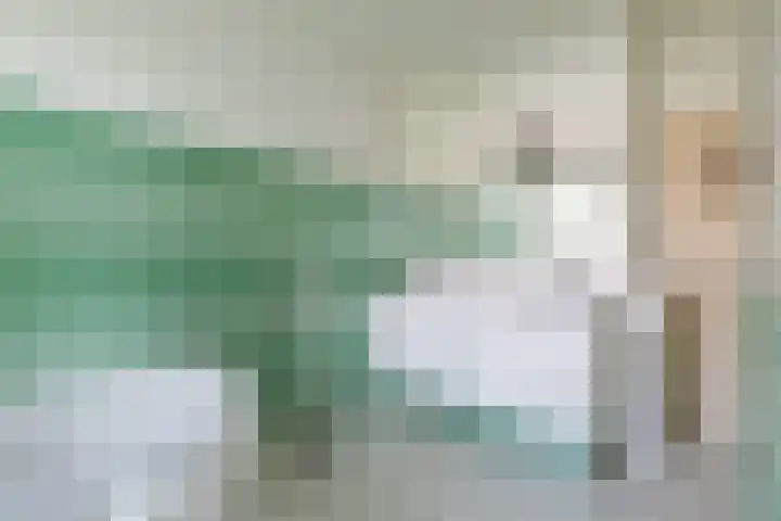 Stadhouderslaan 3 Utrecht thumbnail 26