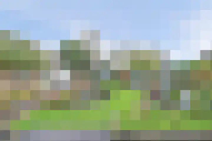 Stadhouderslaan 339 Ridderkerk thumbnail 23