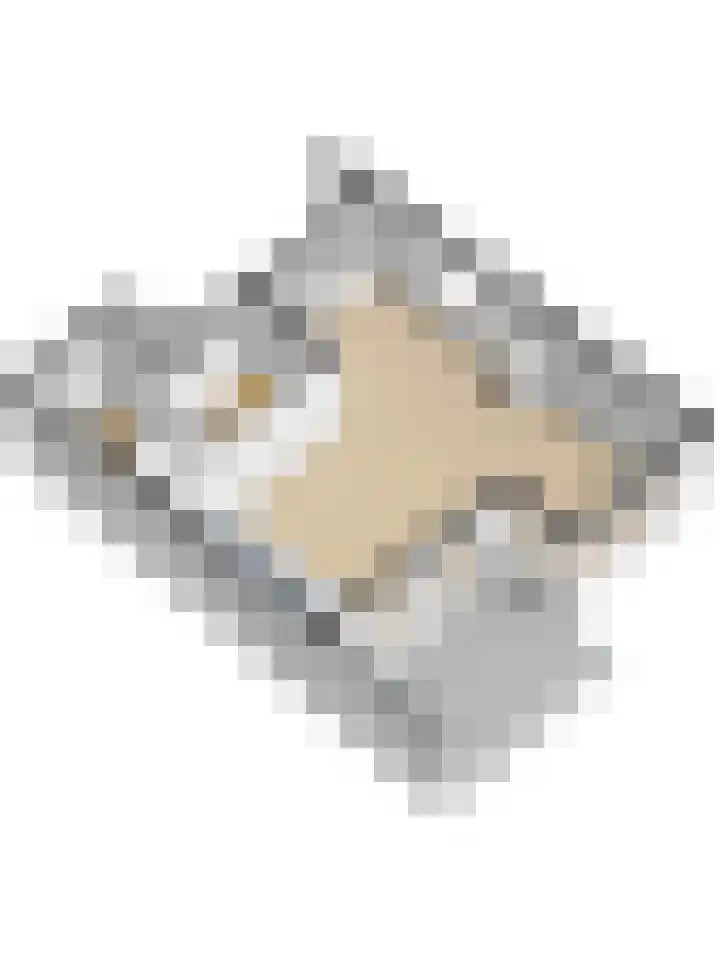 Stadhouderslaan 339 Ridderkerk thumbnail 36