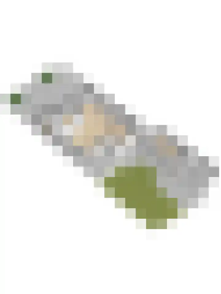 Stadhouderslaan 339 Ridderkerk thumbnail 38