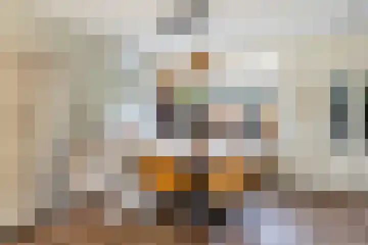 Stadhouderslaan 34 Montfoort thumbnail 21