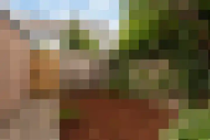 Stadhouderslaan 34 Montfoort thumbnail 32