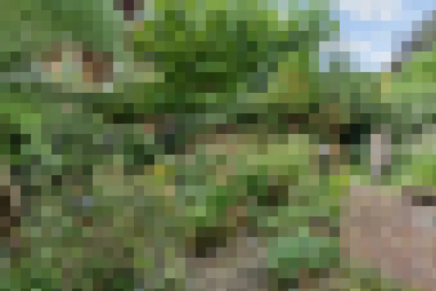 Stadhouderslaan 35 Utrecht thumbnail 21