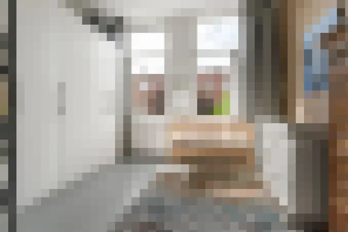 Stadhouderslaan 35 Utrecht thumbnail 36