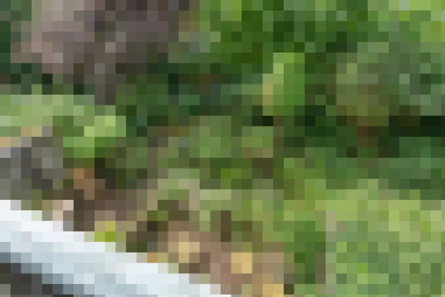 Stadhouderslaan 35 Utrecht thumbnail 5