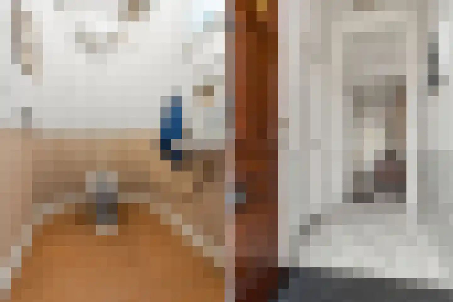 Stadhouderslaan 35 Utrecht thumbnail 8