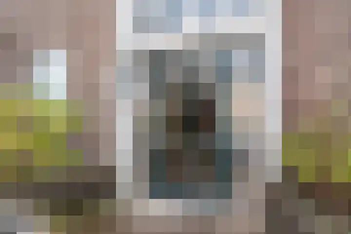 Stadhouderslaan 38 Den Haag thumbnail 6