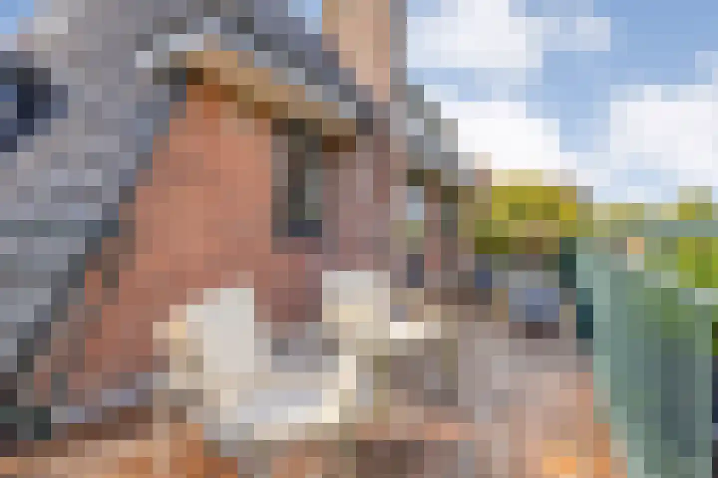 Stadhouderslaan 38 Soest thumbnail 36