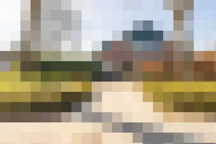 Stadhouderslaan 4 Montfoort thumbnail 41