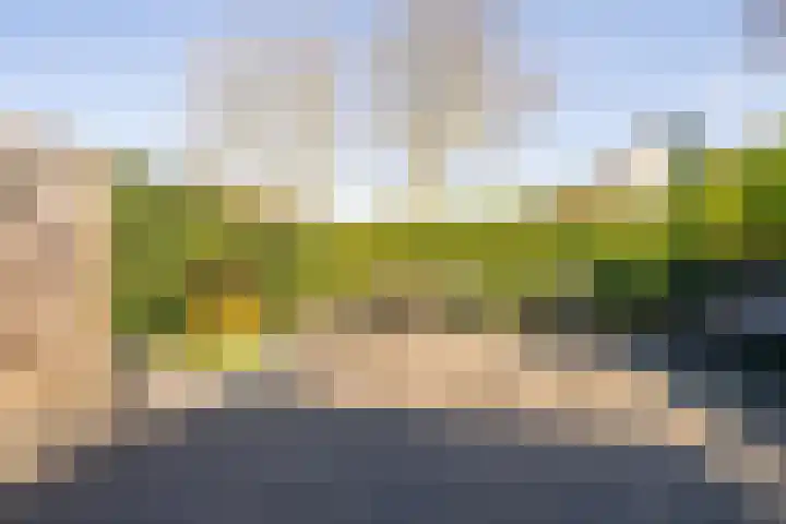 Stadhouderslaan 4 Montfoort thumbnail 5