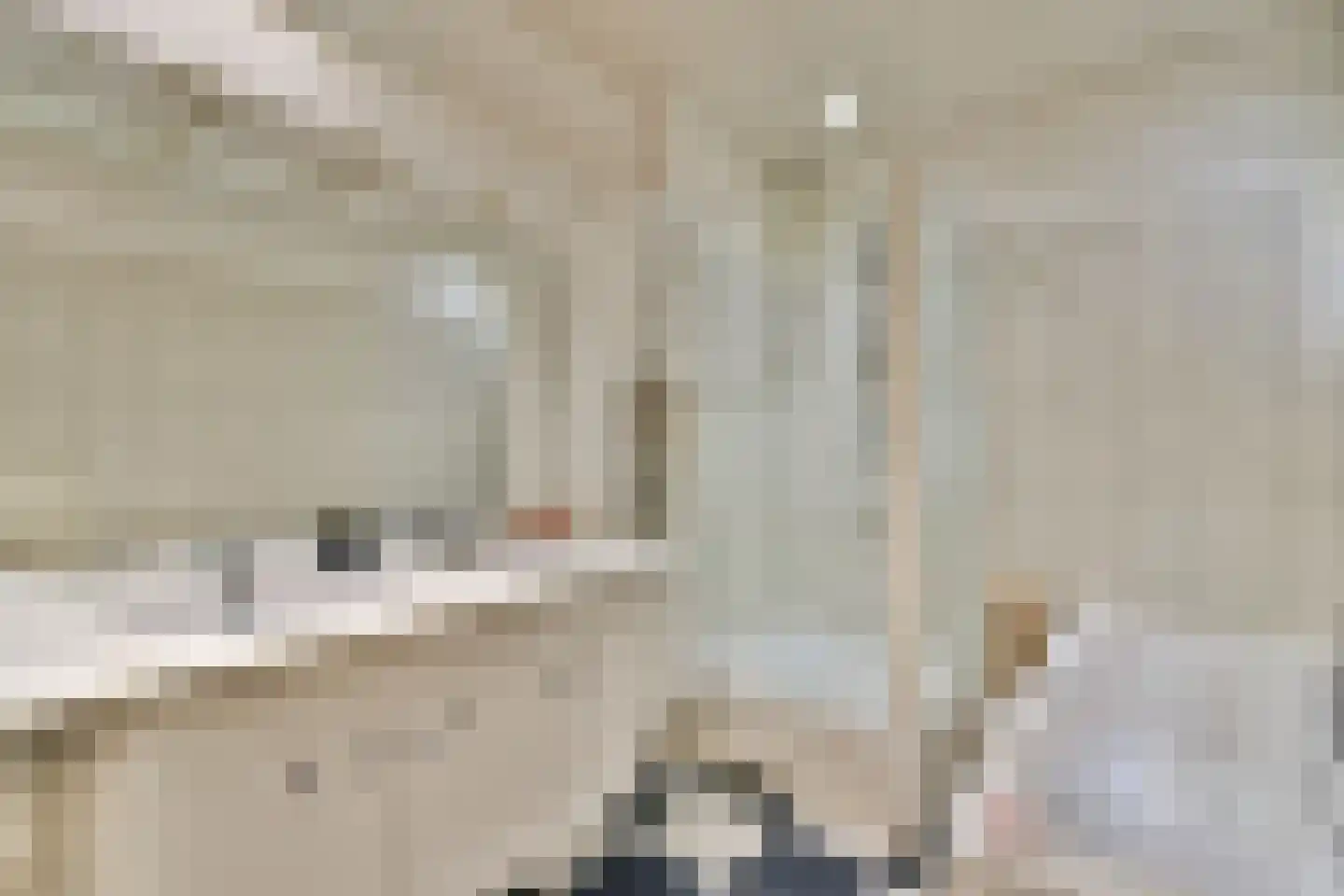 Stadhouderslaan 40 Rotterdam thumbnail 22