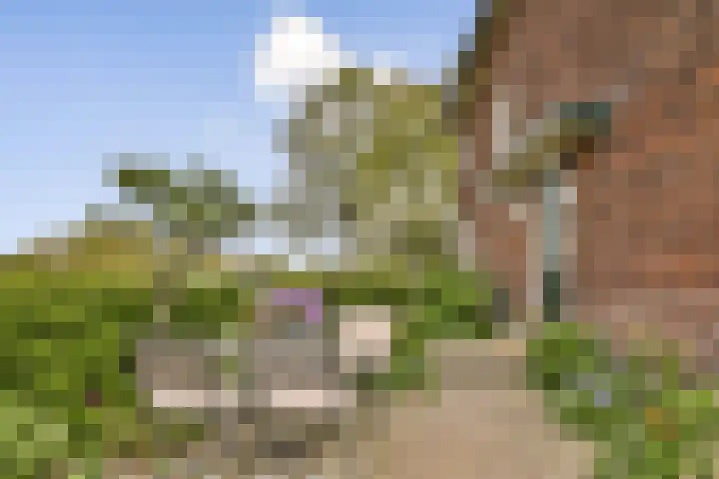 Stadhouderslaan 40 Rotterdam thumbnail 29