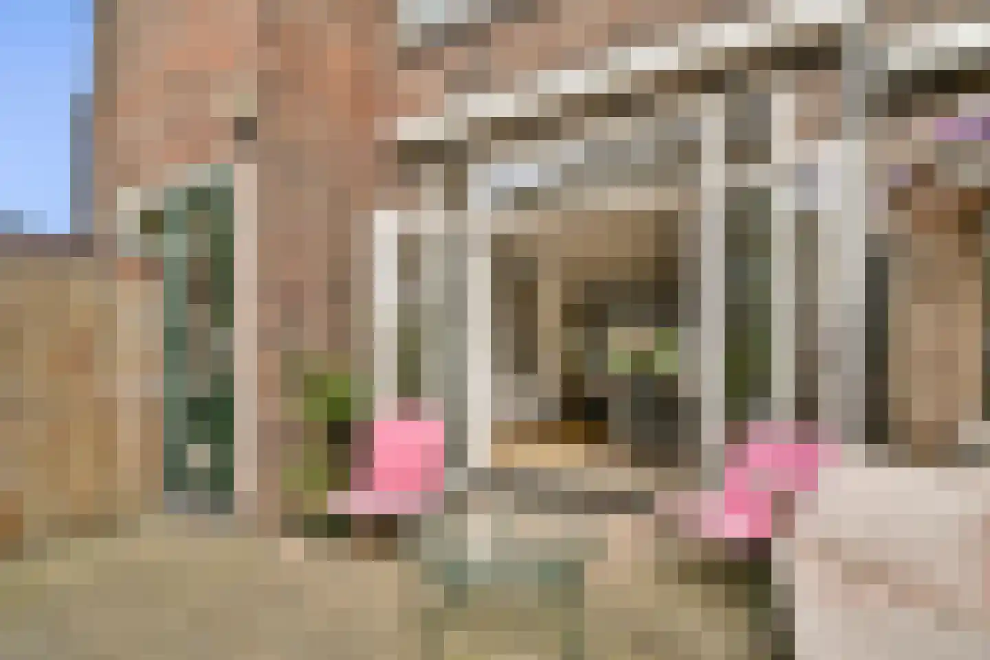 Stadhouderslaan 40 Rotterdam thumbnail 9